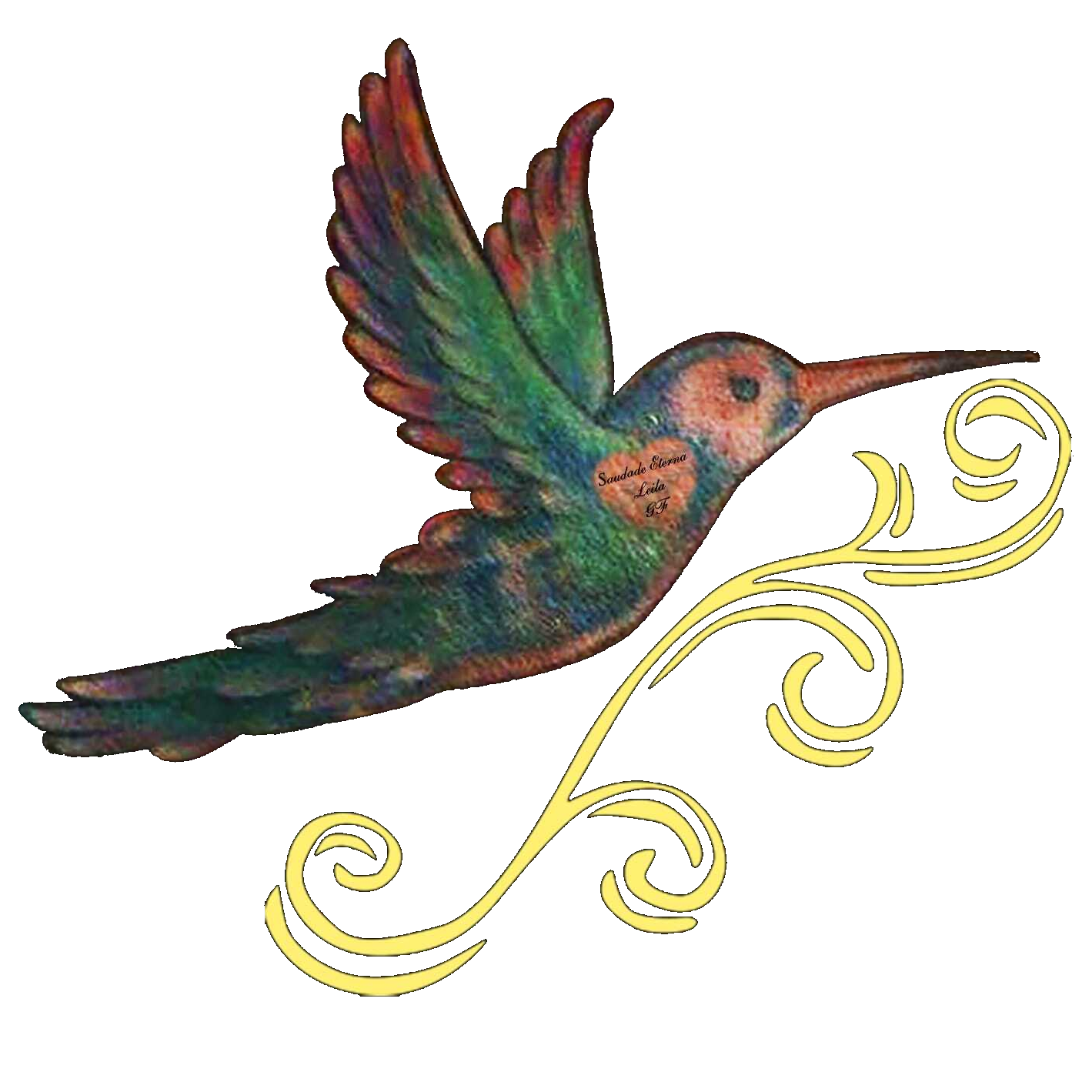Colibri